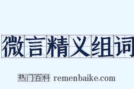 微言精义组词是什么意思的图片